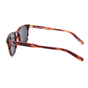  TORTOISE SHELL SUNGLASSES | Polarised Sunglasses | Forever Young Eyewear | Sunglasses Australia | Sunglasses Online